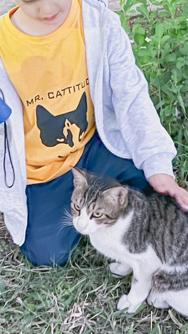 Mr & Ms Catitude - (KIDS) - Image 8