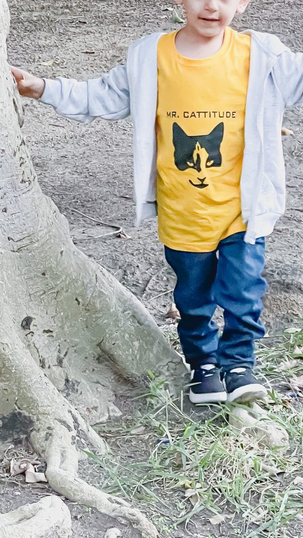 Mr & Ms Catitude - (KIDS) - Image 9