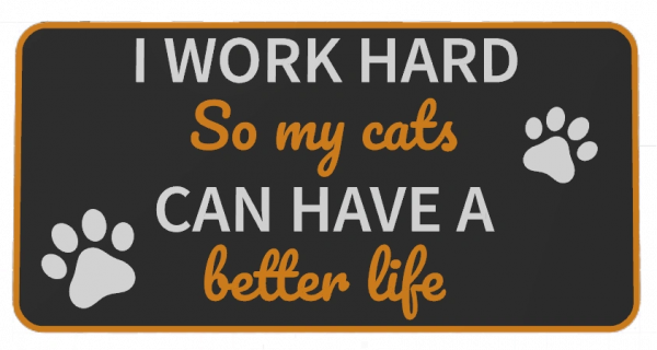 I work hard so my cats can have a better life. - Image 2