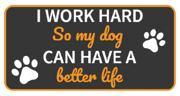 I work hard so my dog can have a better life. - Image 3